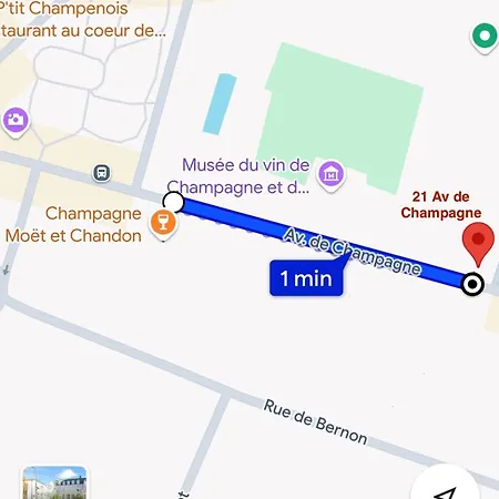 Le 21 Avenue De Champagne Appartement *