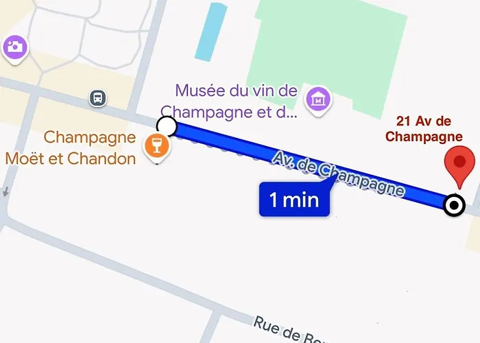 Le 21 Avenue De Champagne Appartement *